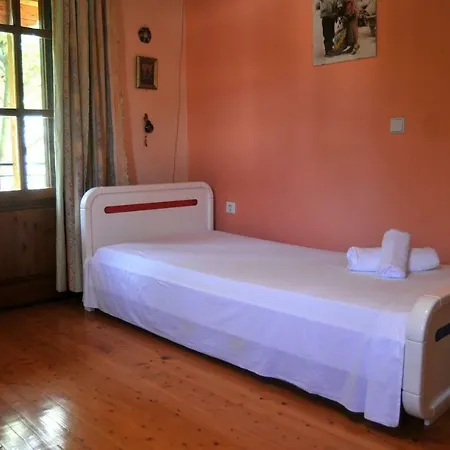 Luxury Pool Palace 4bedroom Hébergement de vacances *