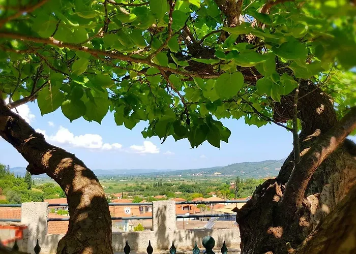 Дом отдыха Luxury Pool Palace 4bedroom Олимпия